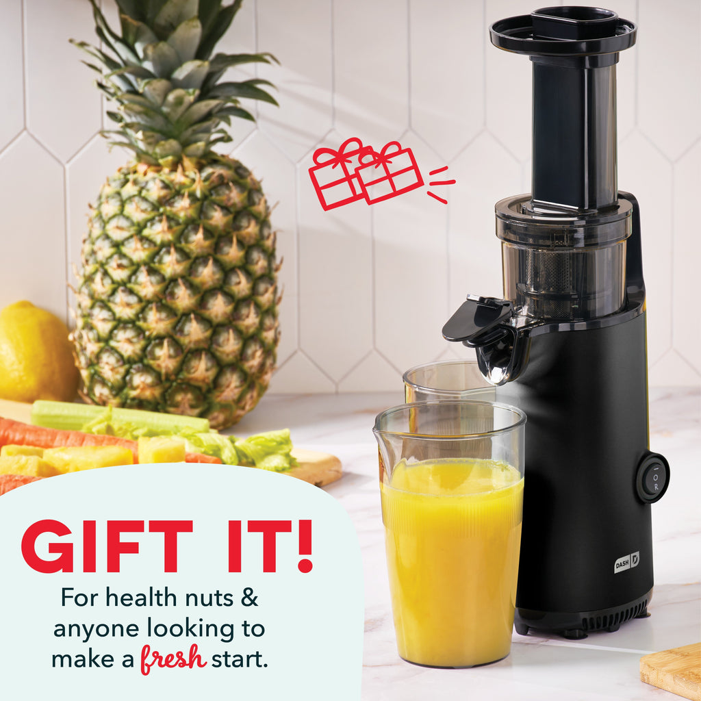 Compact Cold Press Power Juicer